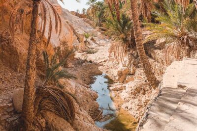 Tamerza, Chebika, Mides Canyons and Star Wars Full-Day Tour