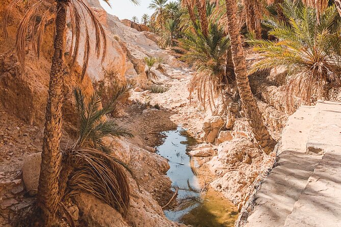 Tamerza, Chebika, Mides Canyons and Star Wars Full-Day Tour - Chebika and the contrast of rock and greenery