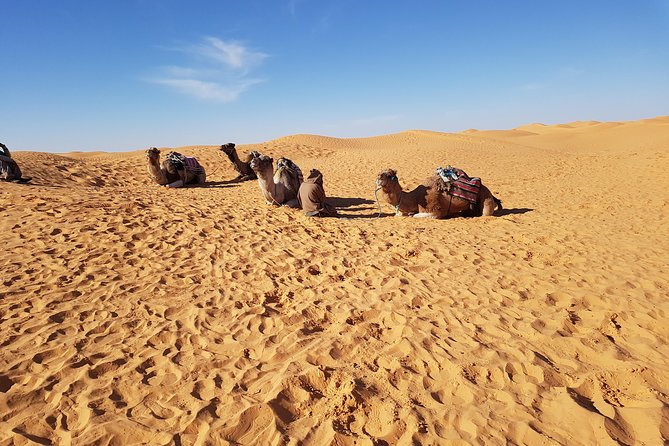 Tatouine - Cheneni - Ksar Ghuilaine - Matmata: 2 days visit - Key points to know before booking