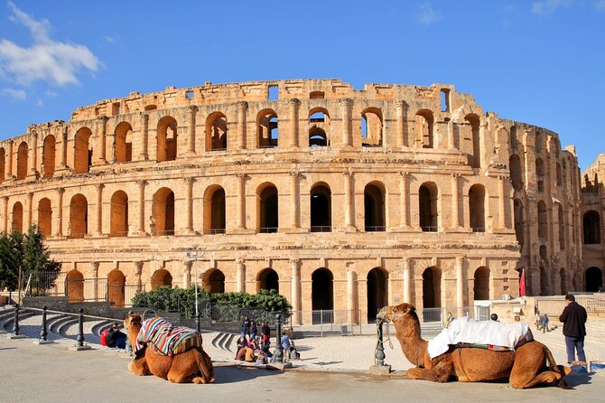 The Best of Tunisia, 3 Days Guided Tour with Lunch - Who should book this three-day Tunisia tour?