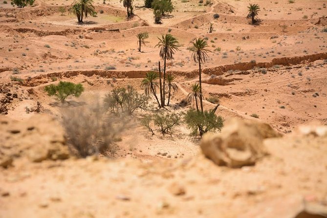The three desert and mountain oases - Guides, drivers, and the value of a private vehicle