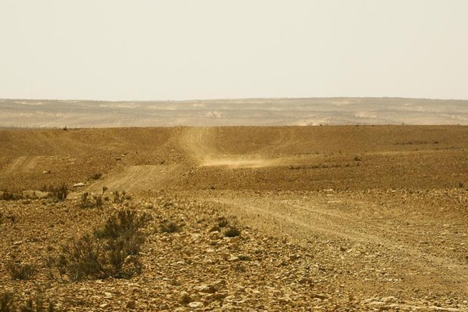The Wonders of Tunisia: 8 days / 7 nights - An easy arrival before the long road days