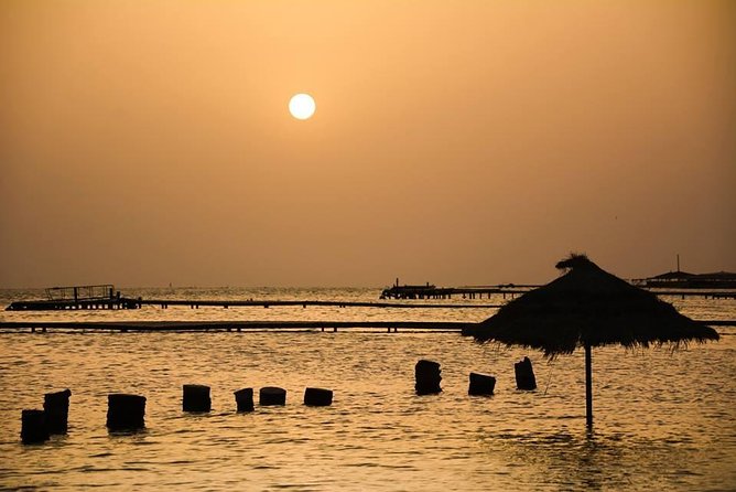 The Wonders of Tunisia: 8 days / 7 nights - Dromedaries, desert bathing, and optional outings