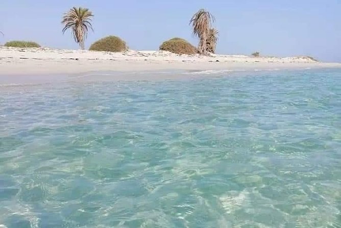 Tour of the island of Djerba the island of Lotophages - Why Djerba makes a good day out