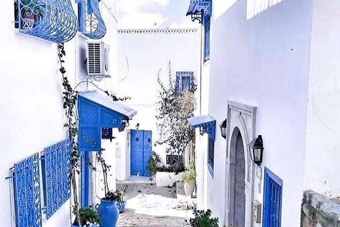 Tour of Tunis Carthage and Sidi Boussaid with local lunch - Key points to know before booking