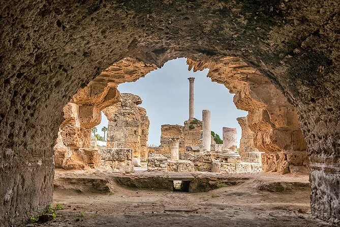 Tour of Tunis Carthage and Sidi Boussaid with local lunch - Timing, walking, and who should choose it