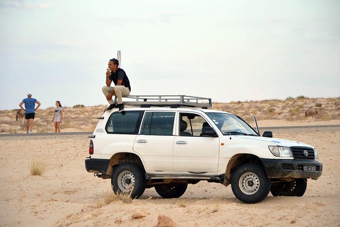 Tozeur and the mountain Oasis - Chott Djerid, the great salt lake