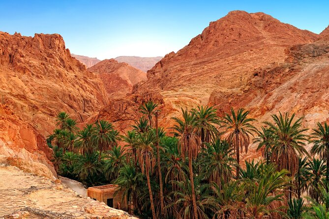 Tozeur Private Half-Day Tour: Tamerza, Chebika and Mides Canyons - Is $99 per person fair value?