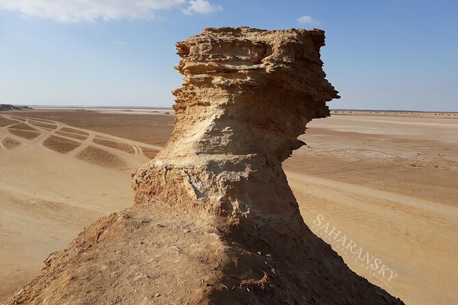 Tozeur: Tamerza, Chebika, Mides and Star Wars locations Day Tour - Why this Tozeur day trip works