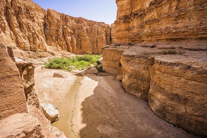 Tozeur: Tamerza, Chebika, Mides and Star Wars locations Day Tour - Ong Jemel and the neck of the camel