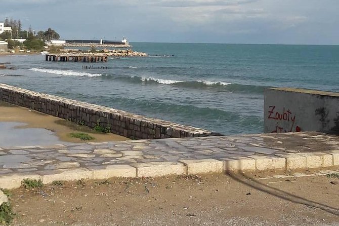 Tunis, Carthage and Sidi Bou Said Self-Guided Excursion from Hammamet - Why this Hammamet day trip works