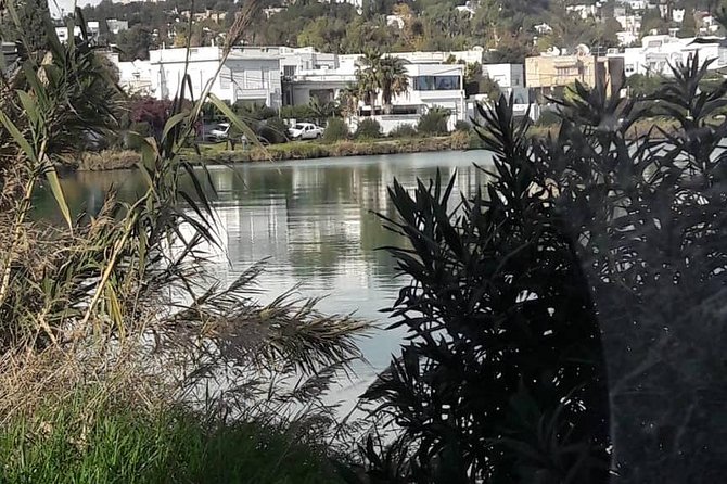 Tunis, Carthage and Sidi Bou Said Self-Guided Excursion from Hammamet - 2:00 pm among the ruins of Carthage