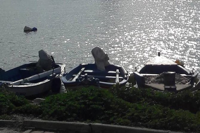 Tunis, Carthage and Sidi Bou Said Self-Guided Excursion from Hammamet - What the $223.24 price really covers