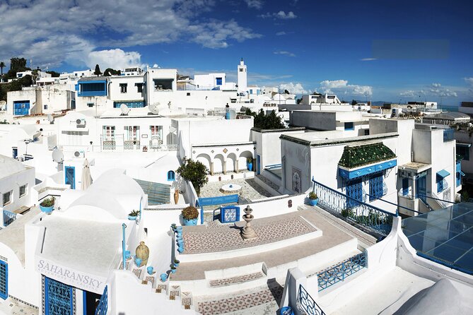 Tunis: Carthage, Bardo Museum, Sidi Bou Said & Medina Group Tour - The quick facts that matter before you book