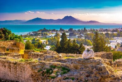 Carthage, Bardo Museum, Sidi Bou Said & Medina Group Tour