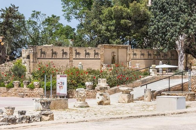 Tunis Group Tour: Carthage, Sidi Bou Said, Bardo museum & Medina - Why this Tunis day tour works well