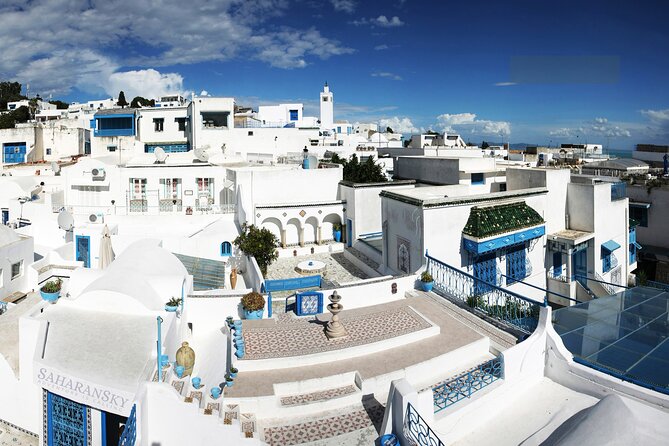 Tunis Group Tour: Carthage, Sidi Bou Said, Bardo museum & Medina - What the $99 price includes