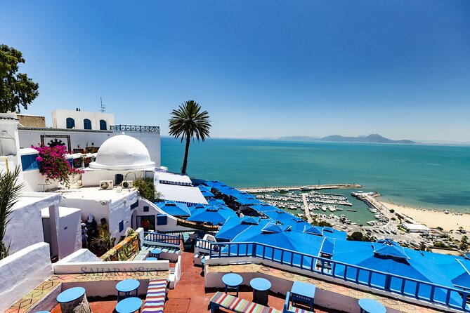 Tunis Group Tour: Carthage, Sidi Bou Said, Bardo museum & Medina - The pace, group size, and practical fit