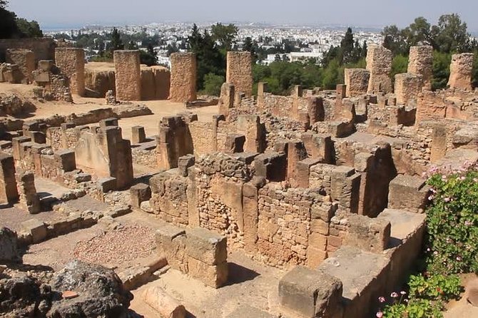 Tunis, Sidi Bousaid and Carthage day trip from Hammamet - What to bring and how to pace yourself