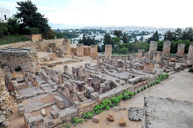 Tunis, Sidi Bousaid and Carthage Day Trip from Monastir - Nadhmi’s flexible guiding style