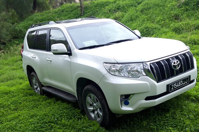 VIP transfer between Tunis Carthage Airport and a hotel in Tunis - Key points at a glance