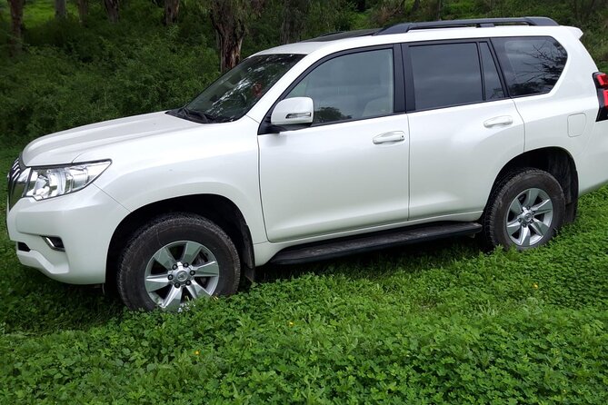 VIP transfer between Tunis Carthage Airport and a hotel in Tunis - A private 4x4 for couples, families, and small groups