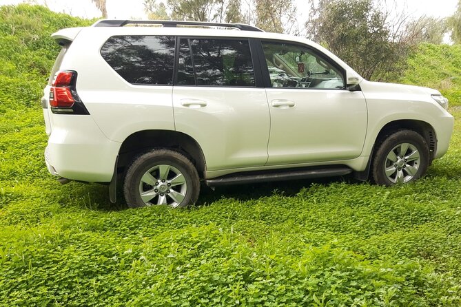 VIP transfer between Tunis Carthage Airport and a hotel in Tunis - Water, WiFi, and the small details that help